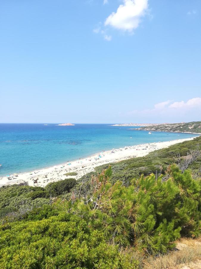 Sea Paradise Apartment Валедория Екстериор снимка